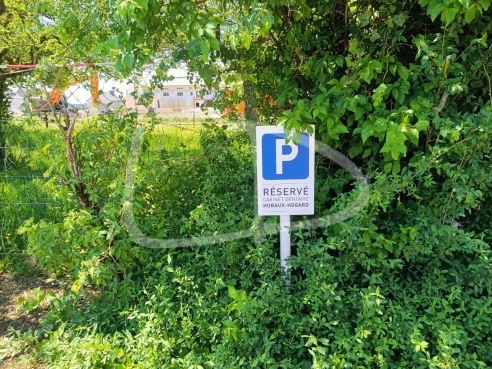 4 Image 2022-05-18.jpeg